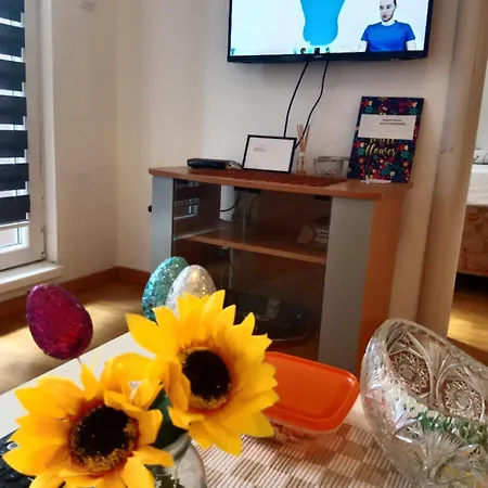 Dora * Белград