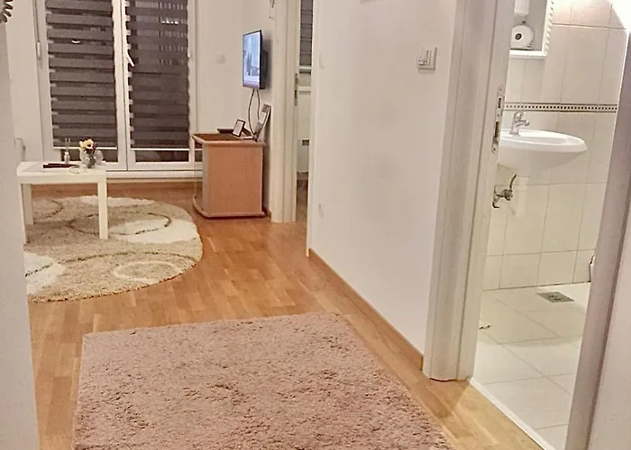 Dora 贝尔格莱德