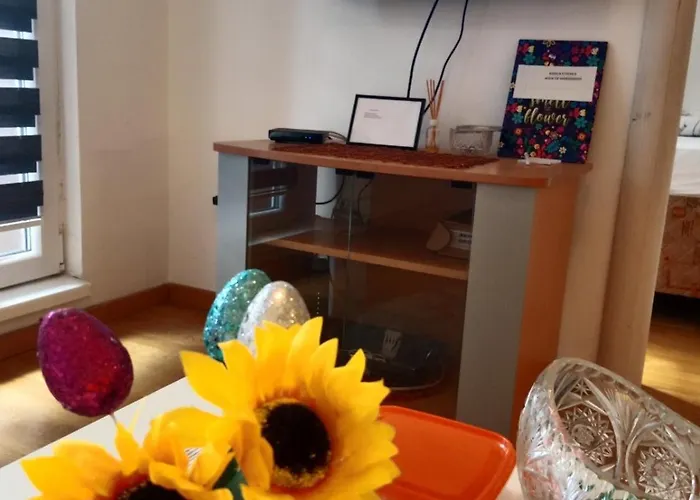 Dora * 贝尔格莱德