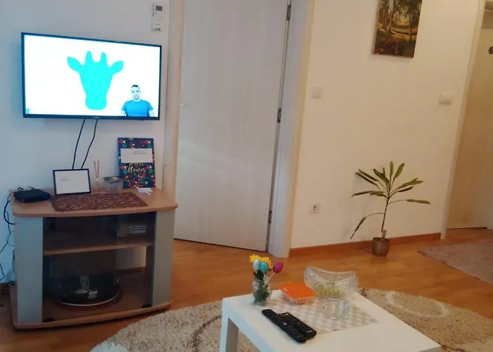 Dora 贝尔格莱德